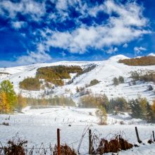 First winter snow